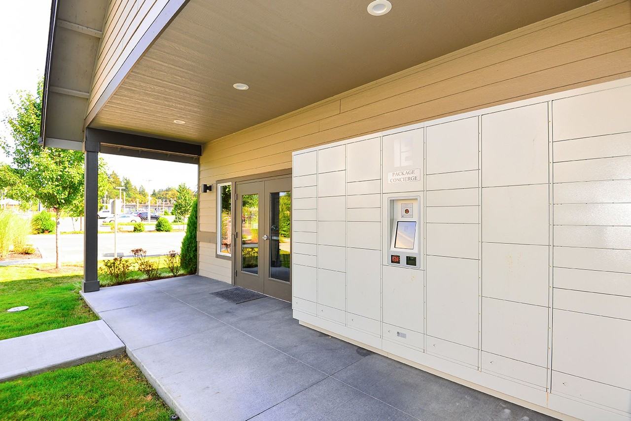 Insignia - Photo 4 of 50