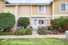 25313 Via Viejo - Photo 1 of 1