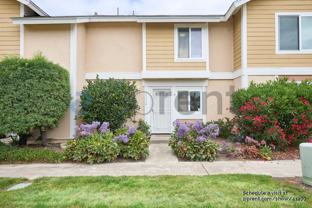 25313 Via Viejo - Photo 1 of 1