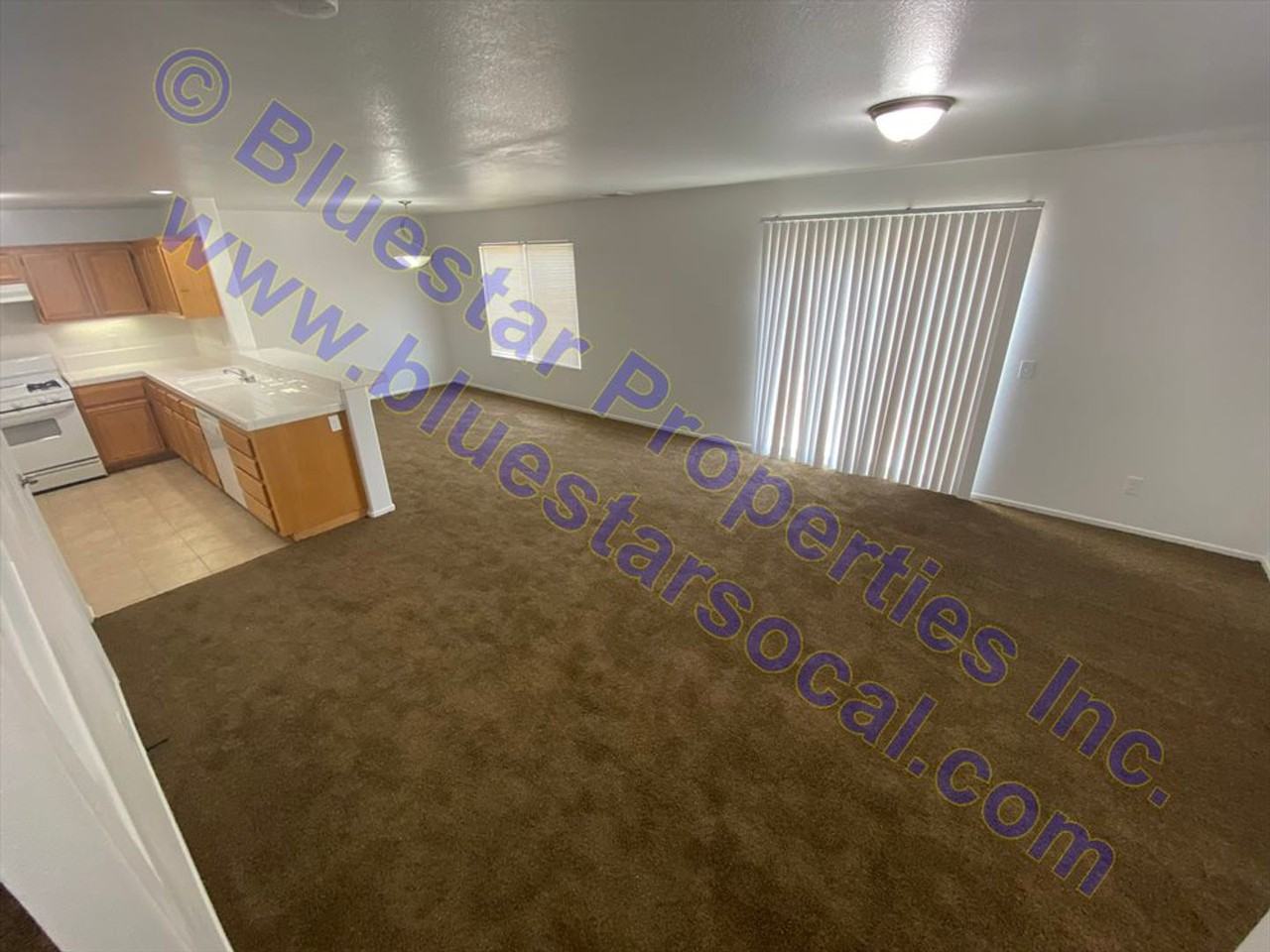 15096 Roan Cir - Photo 2 of 17