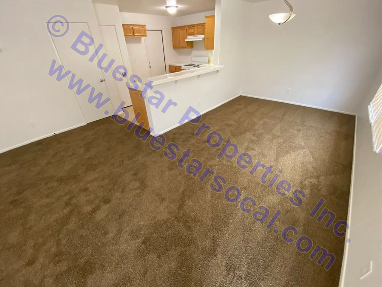 15096 Roan Cir - Photo 6 of 17