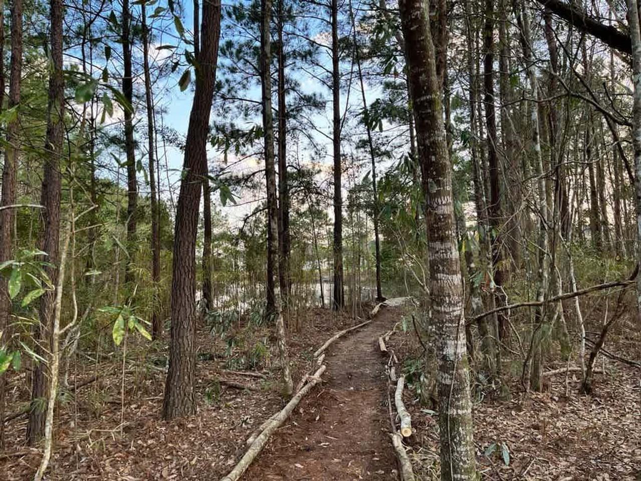 197 Aquinnah Dr #1244800P - Photo 6 of 22