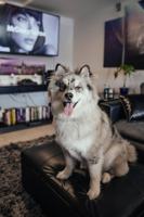 featured image of 6041 S Keating Ave