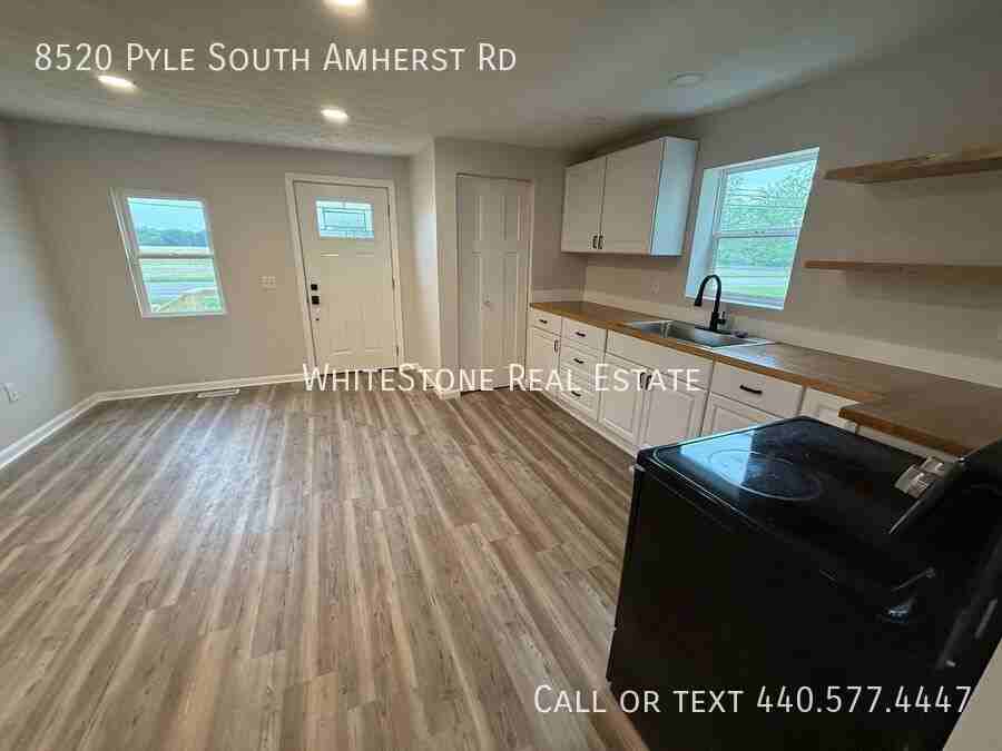 8520 Pyle South Amherst Rd - Photo 2 of 20