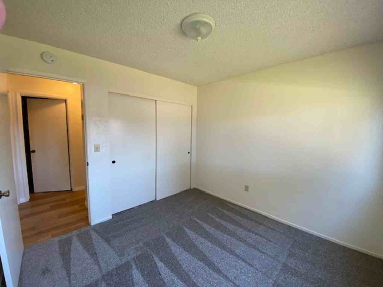 1405-1409 Longbranch - Photo 7 of 31