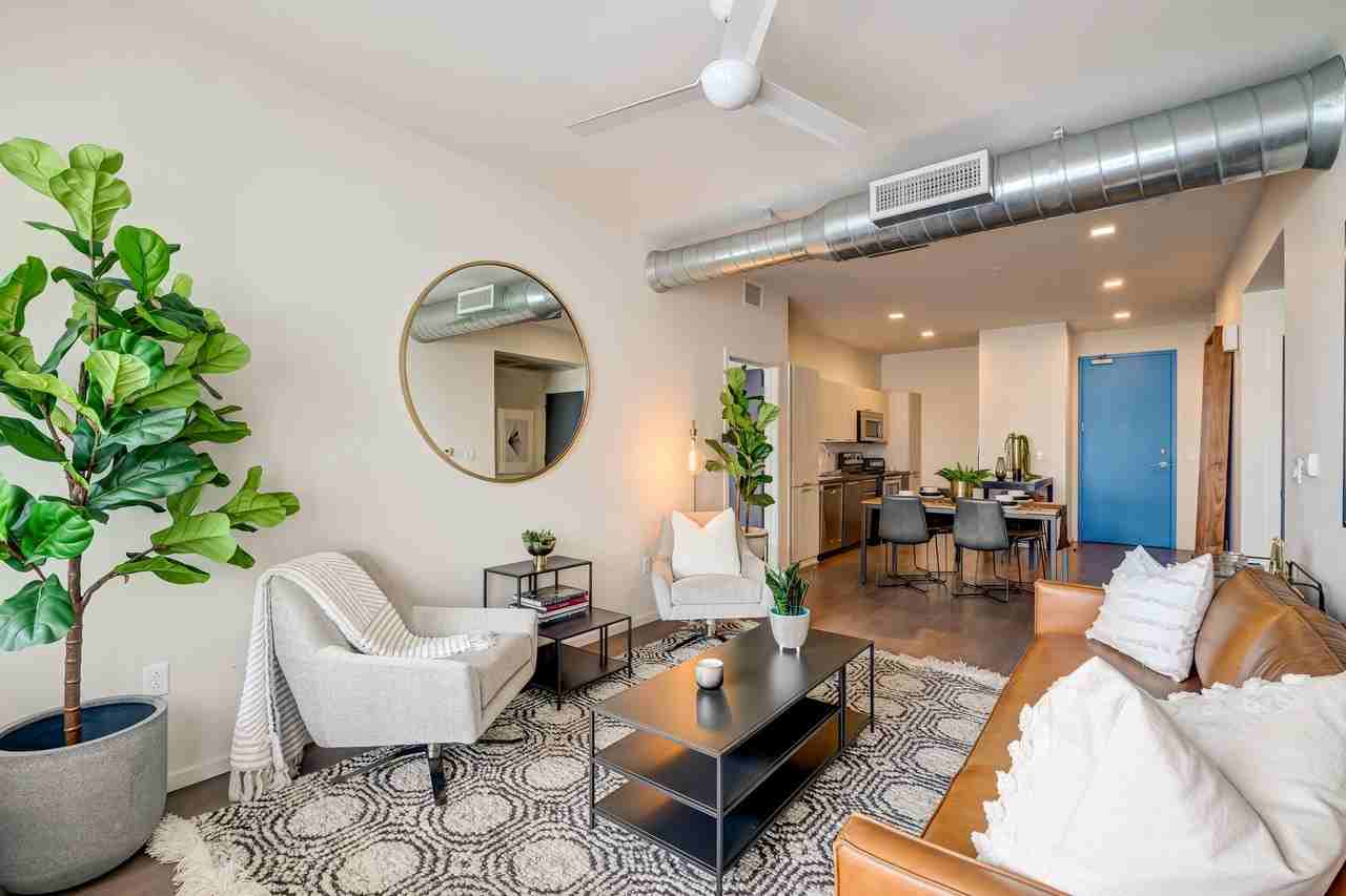 SALT - Photo 6 of 29