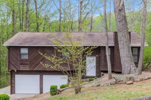 featured image of 4031 Cindy Dr
