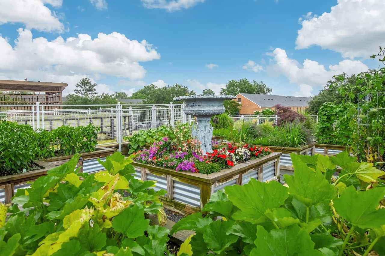 South Front - Photo 5 of 50