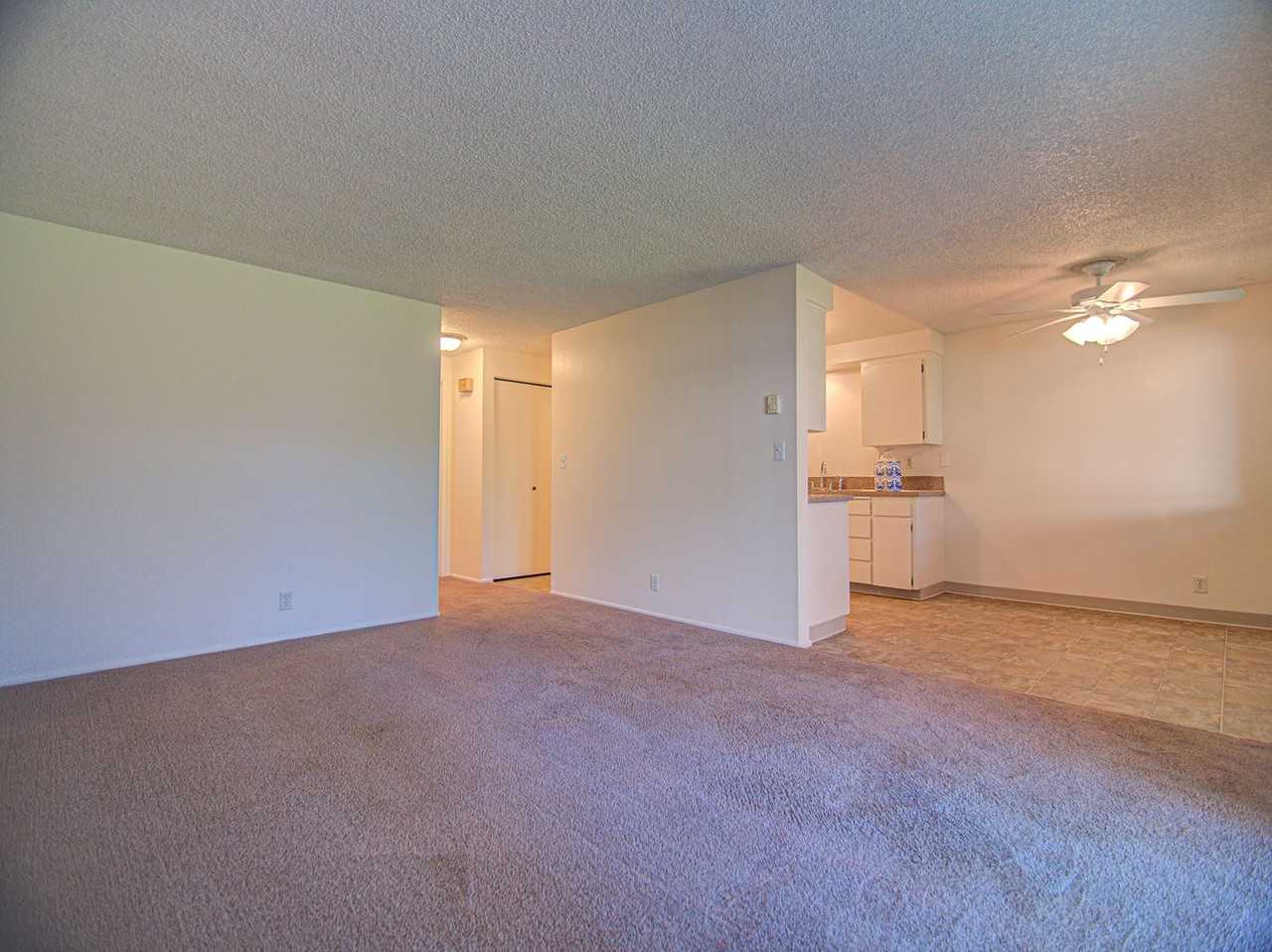 #314 THE MAPLES APARTMENTS - Photo 4 of 9