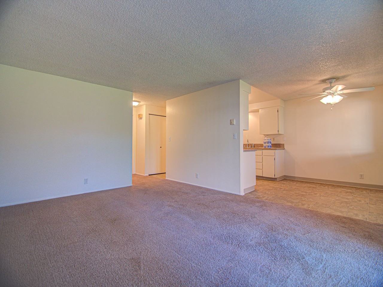 #314 THE MAPLES APARTMENTS - Photo 4 of 7