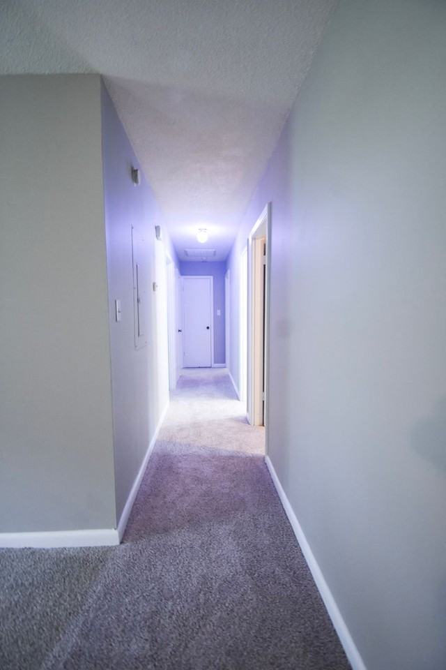 5138 Longbranch Dr - Photo 7 of 18