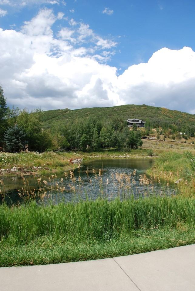 2410 Deer Lake Dr #NA - Photo 6 of 13