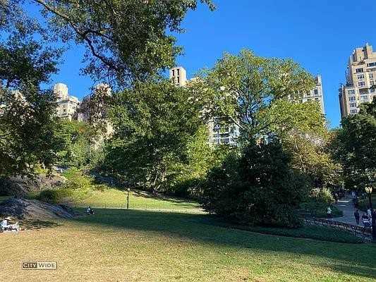 W 55th St #8E - Photo 7 of 16