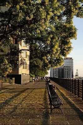 Court St #8SI - Photo 6 of 20