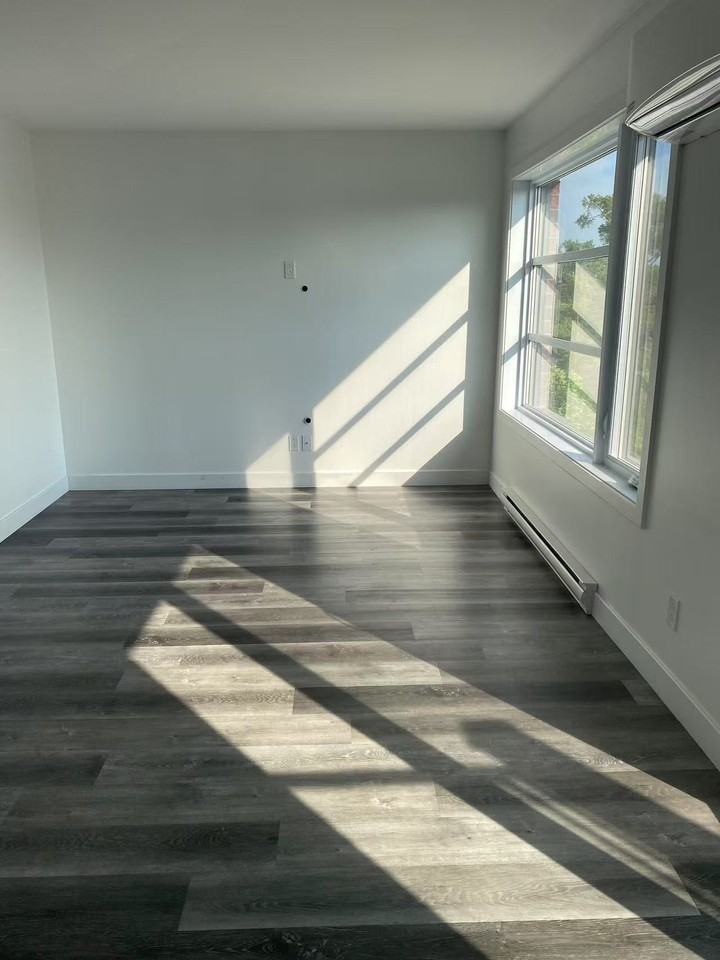 3815 Rue de Mont Royal #201 - Photo 3 of 12