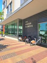 Louisa Flowers apartments - Photo 1 of 1