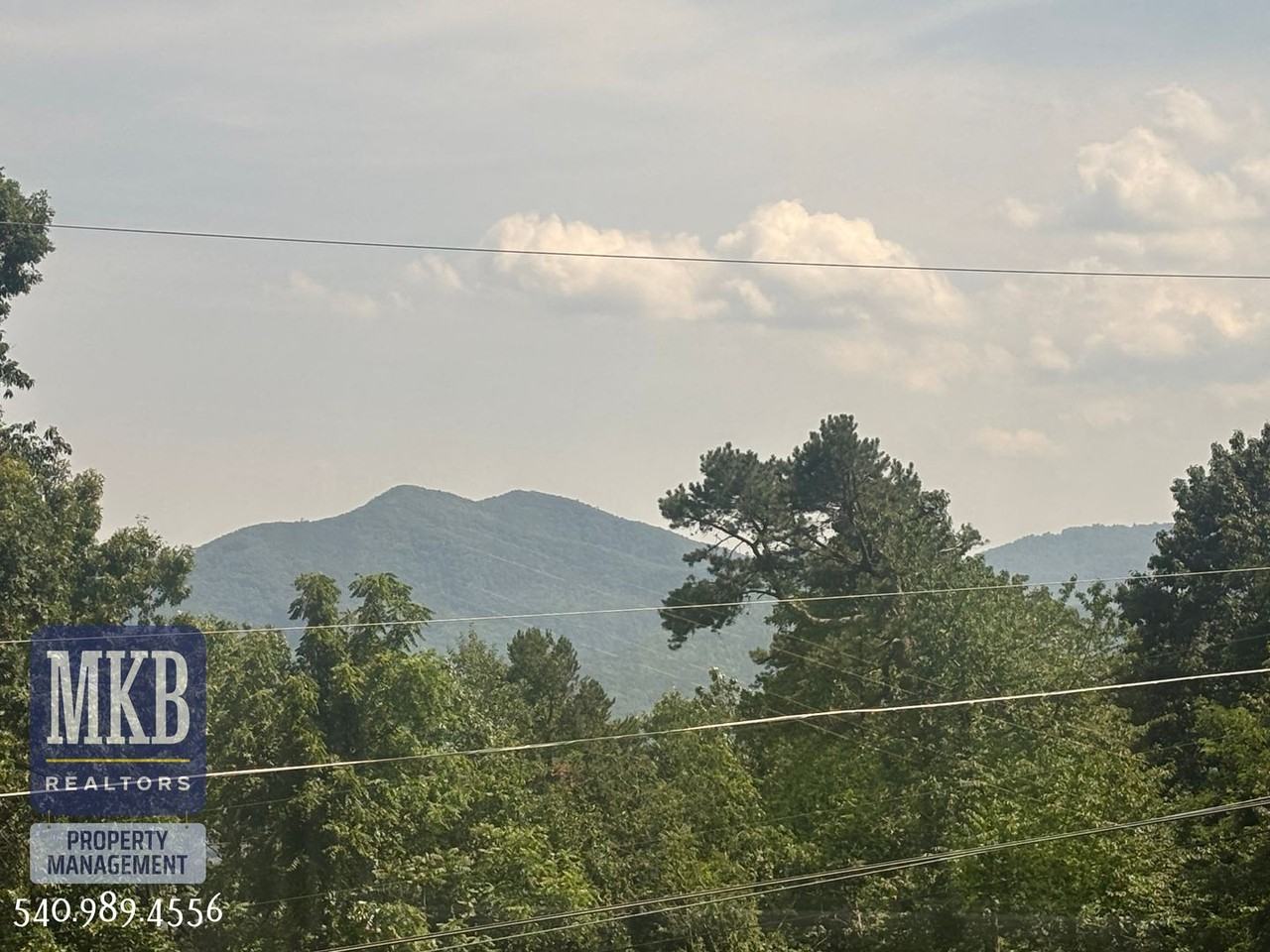 811 Montvue Rd - Photo 3 of 50