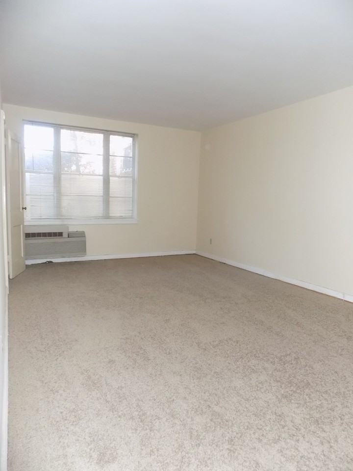 526 Edisto Ave - Photo 5 of 12