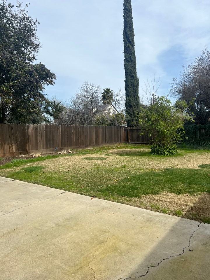 790 Sycamore Ave - Photo 3 of 19