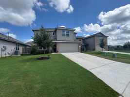 featured image of 222 Grey Woodpecker