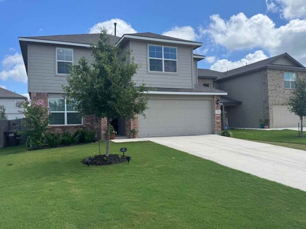 222 Grey Woodpecker - Photo 2 of 36