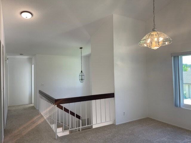 2806 Cacatua St - Photo 5 of 20