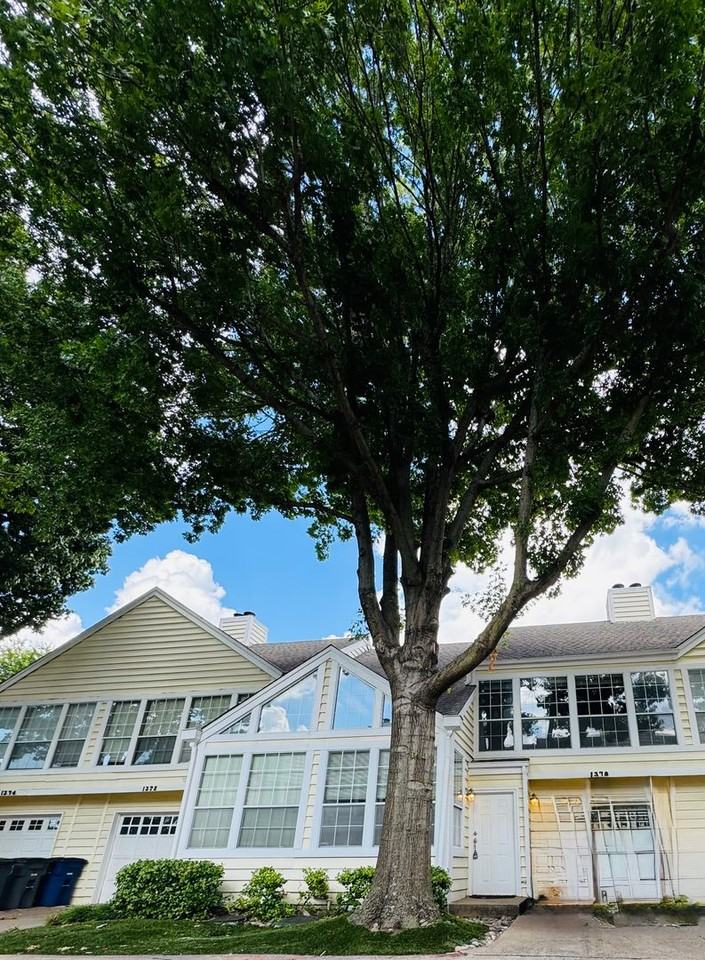 Baystone Town Homes - Photo 7 of 35