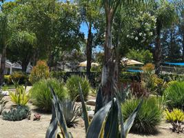 featured image of 28433 Mayfair Dr