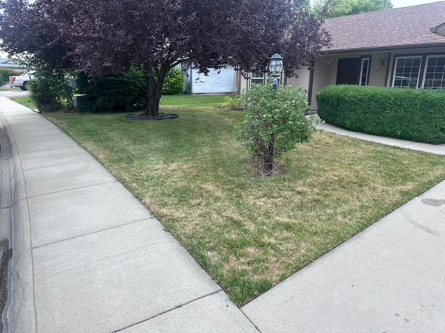 8285 W Donnybrook Dr - Photo 2 of 6