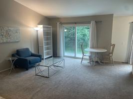 featured image of 3236 Bolgos Cir