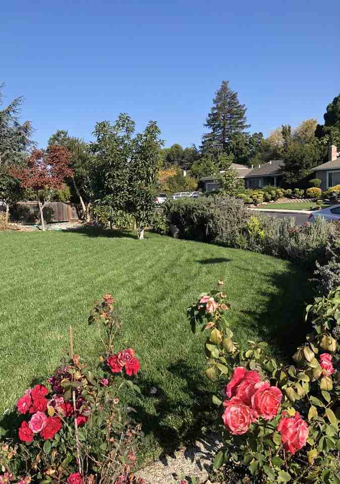 680 Clara Vista Ave #NA - Photo 2 of 4