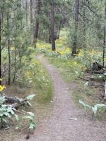 featured image of 4925 S Kip Ln #NA