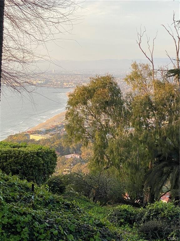 888 888 Vía Del Monte - Photo 5 of 8