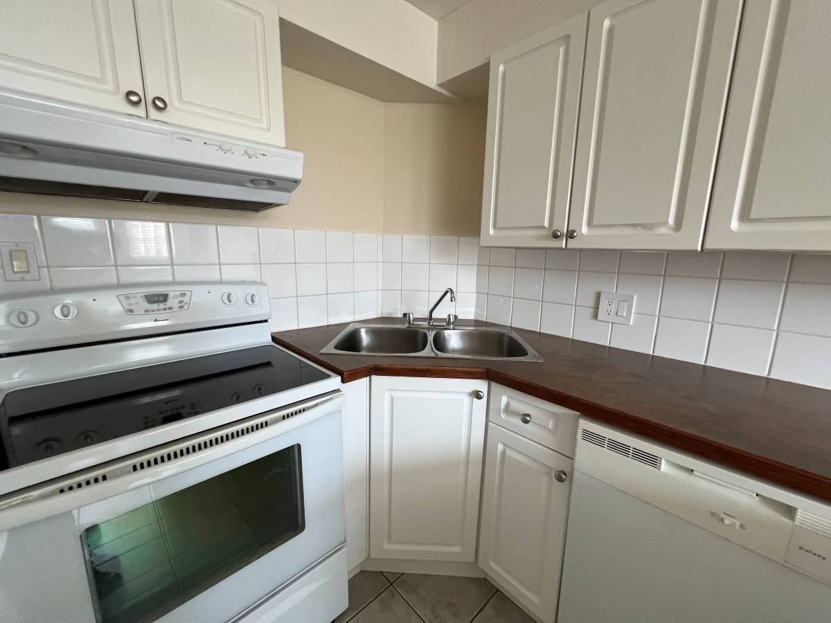 1293 Tercel Court - Photo 3 of 17