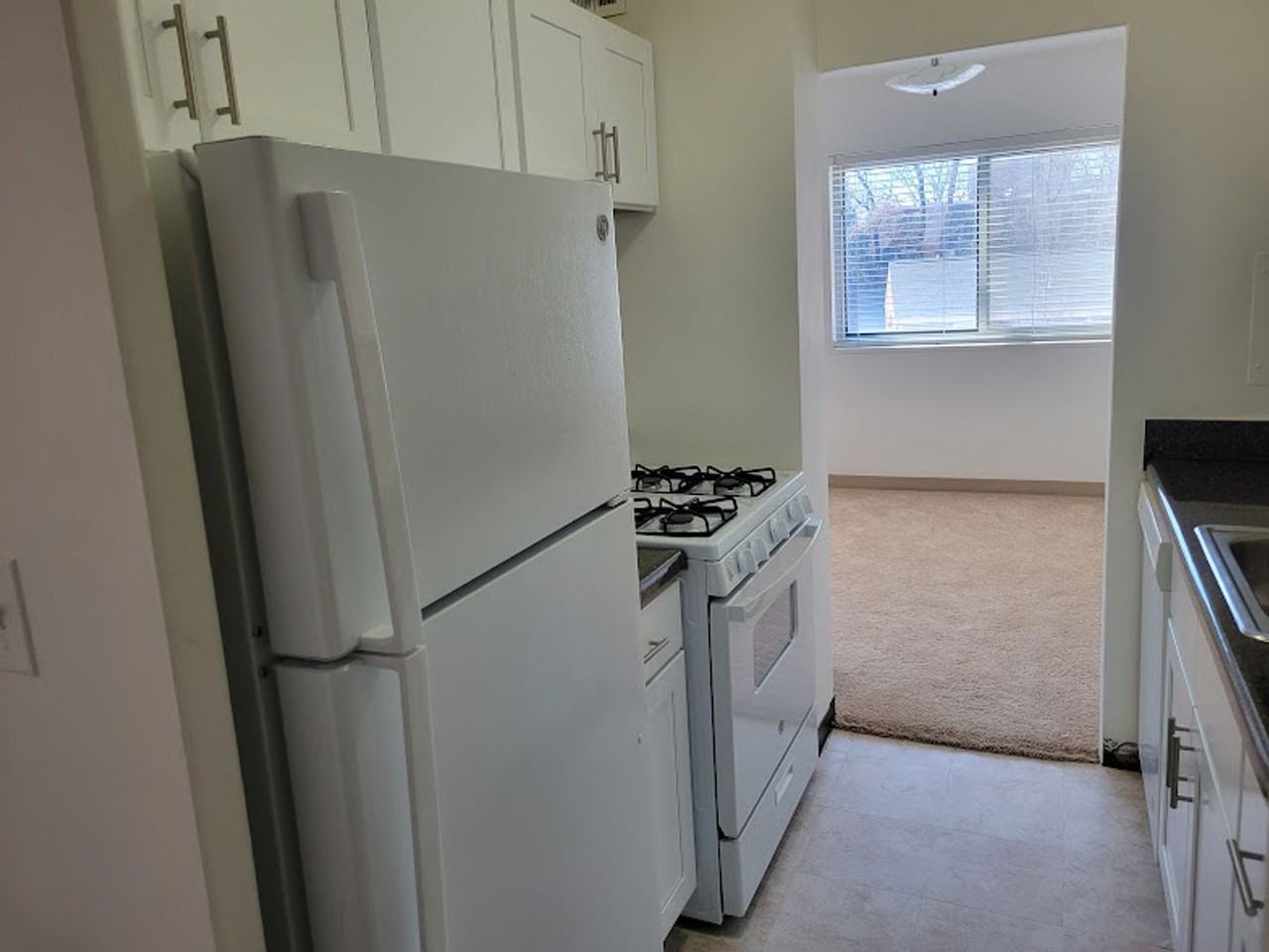 Lauren Towers - Photo 3 of 14