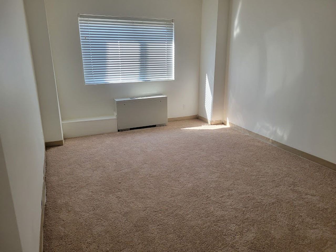 Lauren Towers - Photo 4 of 14