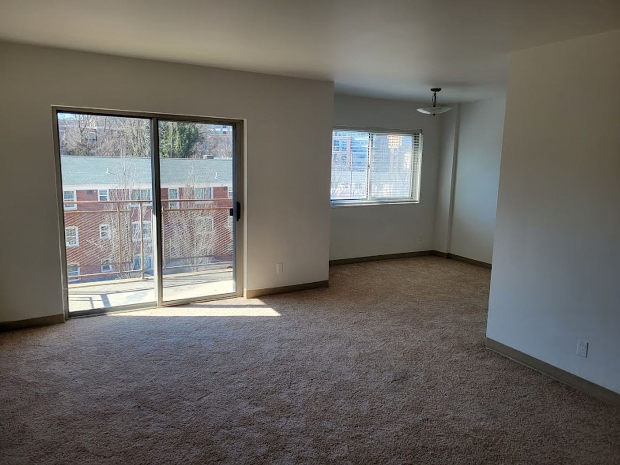 Lauren Towers - Photo 5 of 14