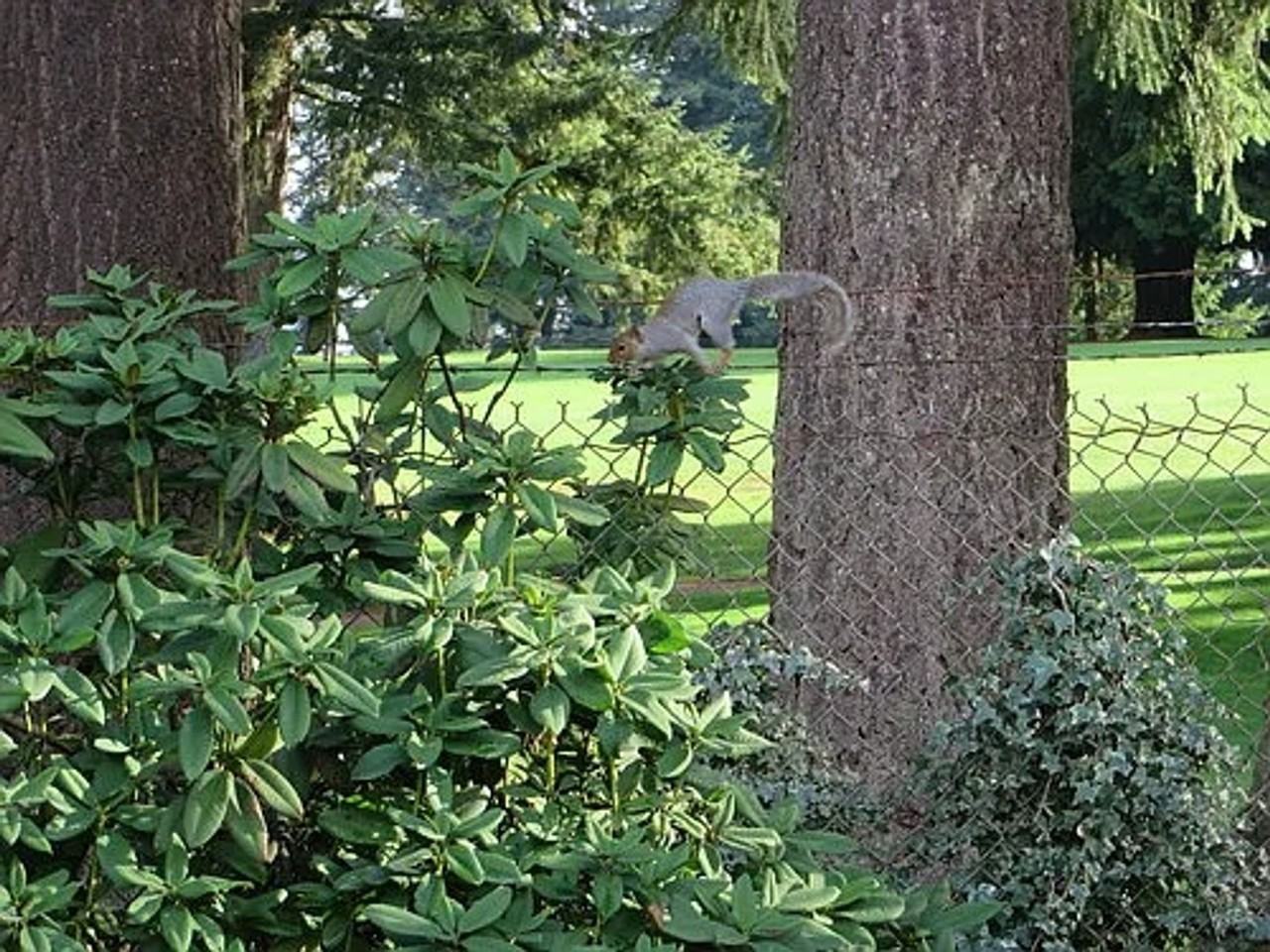 Highway Place | Affordable Comfort Near Boeing & Evergreen Way - Photo 7 of 13