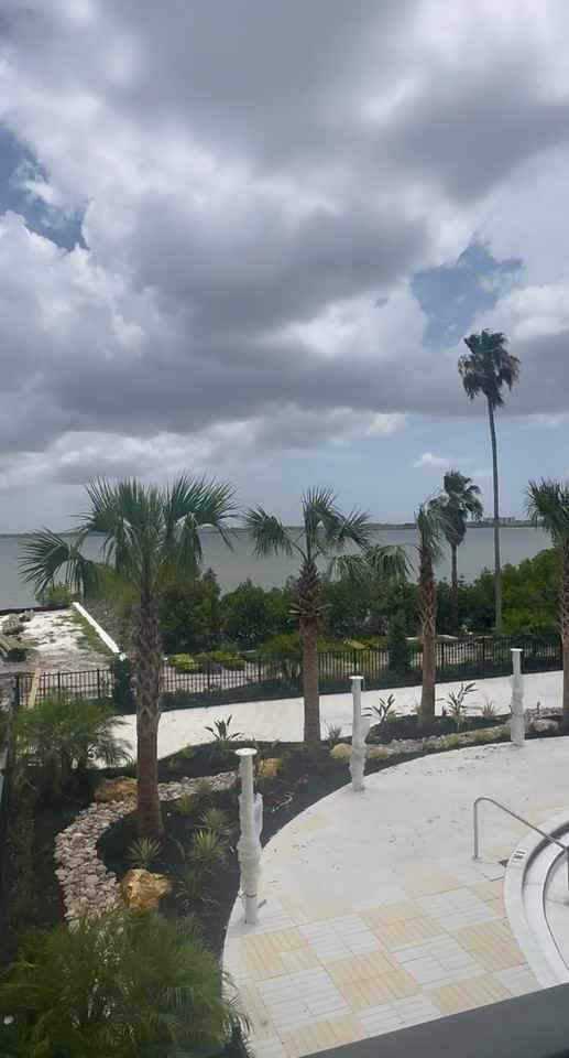 2977 Gulf To Bay Blvd #2 - Photo 7 of 33