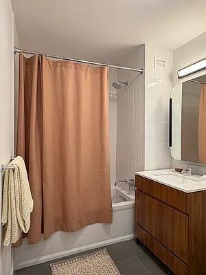 Carroll St #E608 - Photo 6 of 18