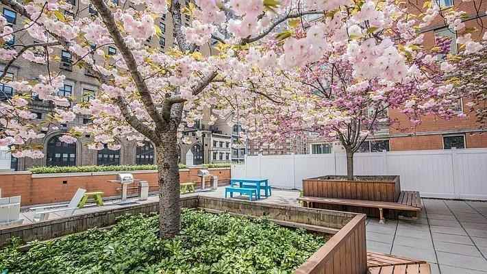 W 50th St #24B - Photo 4 of 20