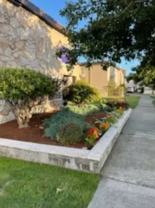 Duchess Apartments - Photo 1 of 1
