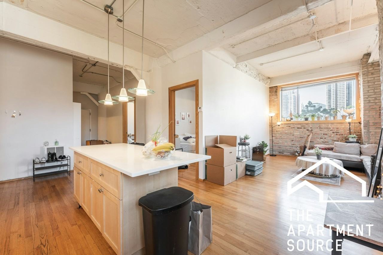 345 North Canal Street, Unit 3O4 - Photo 5 of 18