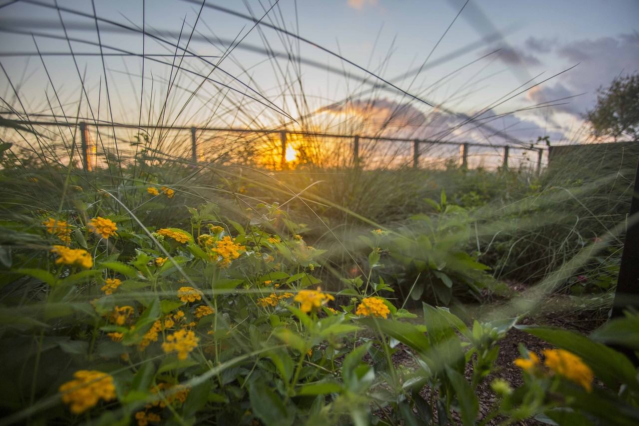 Sky Garden Apartments - Photo 5 of 16