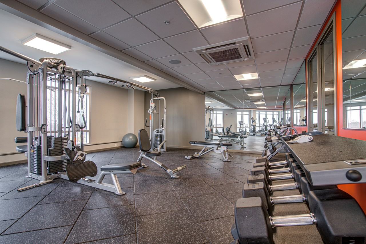 The Feywild - Photo 2 of 21