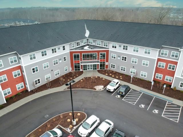 The Feywild - Photo 4 of 21