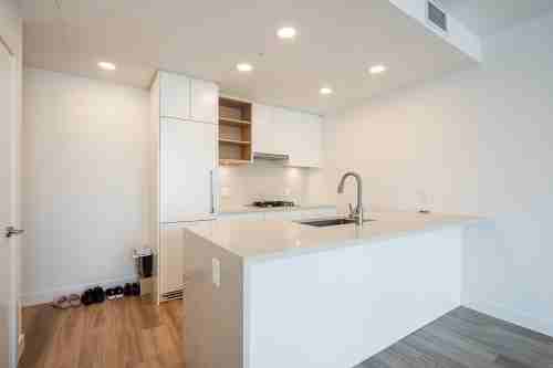 4433 Alaska Street #1801