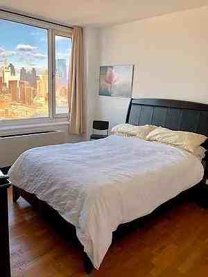 W 42nd St #10D - Photo 4 of 20