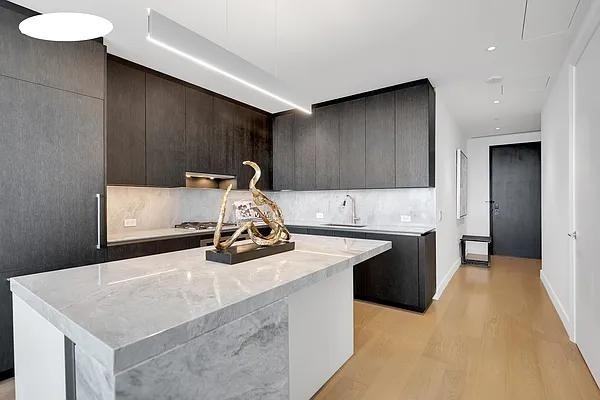 Hudson Yards #75C - Photo 3 of 20