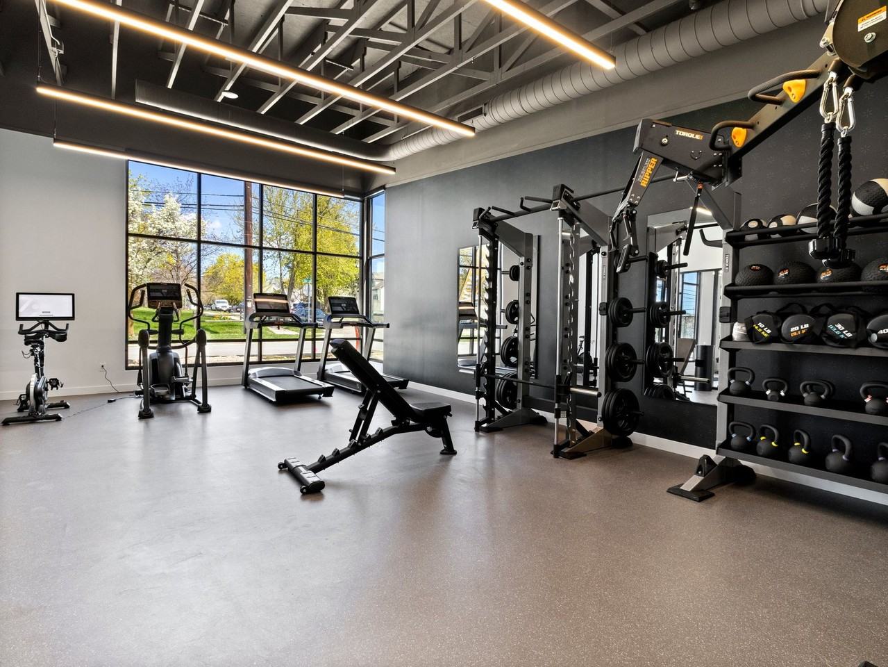 The Emree - Photo 4 of 50